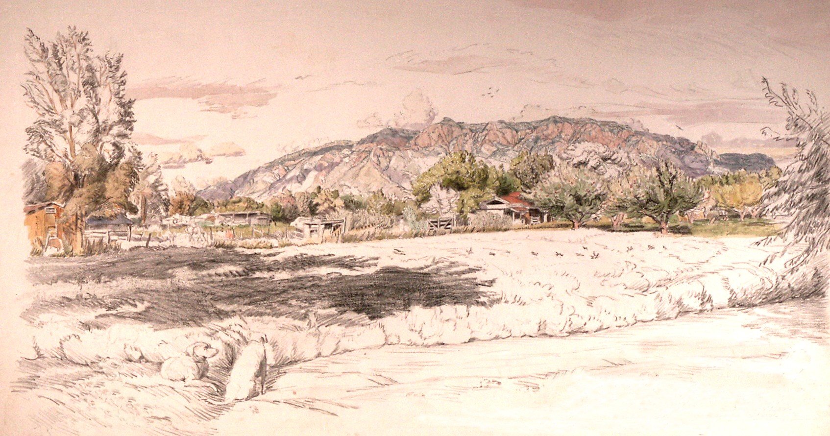 Corrales Orchard (Drawing)